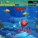 Download Game Cá Lớn Nuốt Cá Bé 1 và 2 Full Offline