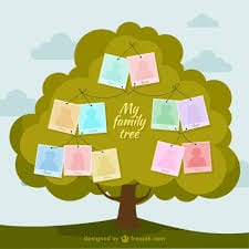 Read more about the article My Family Tree 14.0 Full – Phần mềm xây dựng gia phả