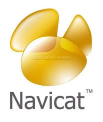 Read more about the article Navicat Premium 17.0 Full Key – Phần mềm ứng dụng lập trình