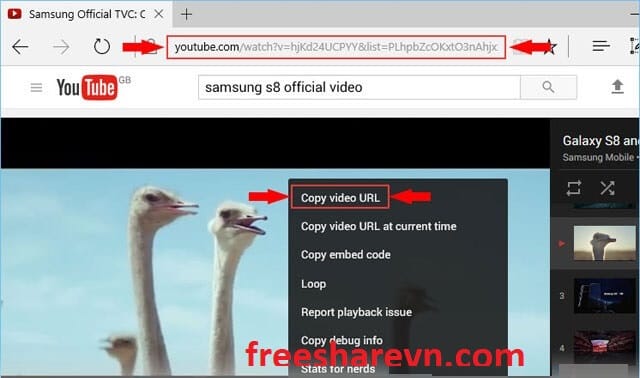 Free YouTube Download Premium 4.3.96.714 instal the new version for iphone