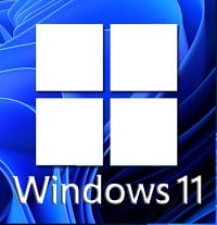 Read more about the article Hướng dẫn chơi game cũ không tương thích Windows 10/11